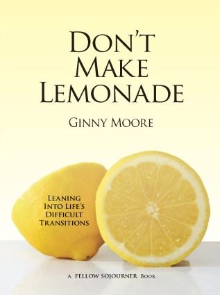 DontMakeLemonadeCoverMoore